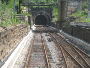 Thumbnail image for IMG_0271.JPG